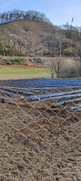 팜모닝 감자·영농일지 게시글 이미지