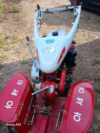이상애초보농업님의 자유주제 · 자유게시판 작성글 사진