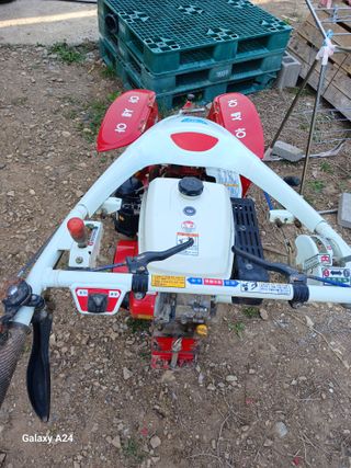 이상애초보농업님의 자유주제 · 자유게시판 작성글 사진