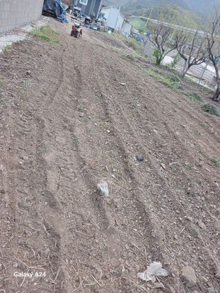 이상애초보농업님의 자유주제 · 자유게시판 작성글 사진