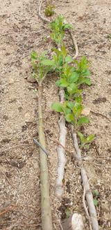 팜모닝 자유주제·자유게시판 게시글 이미지