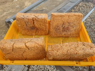 징금다리님의 자유주제 · 자유게시판 작성글 사진