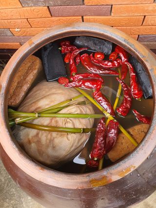 징금다리님의 자유주제 · 자유게시판 작성글 사진