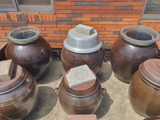 징금다리님의 자유주제 · 자유게시판 작성글 사진