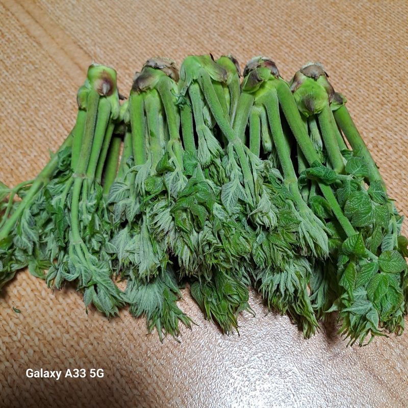 장터 상품 [나무 참두릎1kg] 썸네일