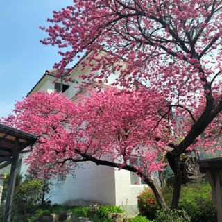 꽃님님의 자유주제 · 사진전 작성글 사진