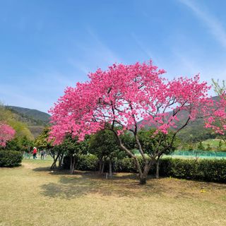 꽃님님의 자유주제 · 사진전 작성글 사진