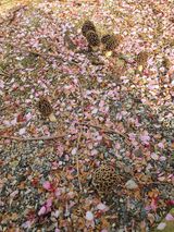 팜모닝 자유주제·사진전 게시글 이미지