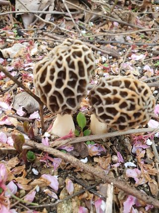 하예산방15926님의 자유주제 · 사진전 작성글 사진