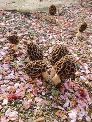 하예산방15926님의 자유주제 · 사진전 작성글 사진