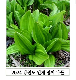 양헌국님의 작성글 사진