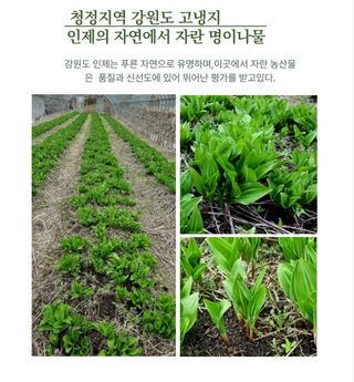 양헌국님의 작성글 사진