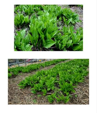 양헌국님의 작성글 사진