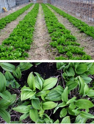 양헌국님의 작성글 사진