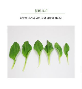 양헌국님의 작성글 사진