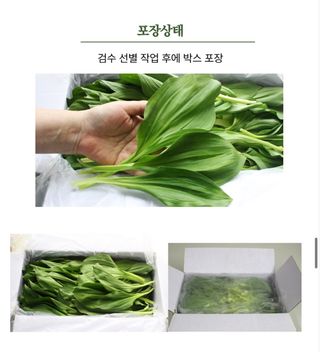 양헌국님의 작성글 사진