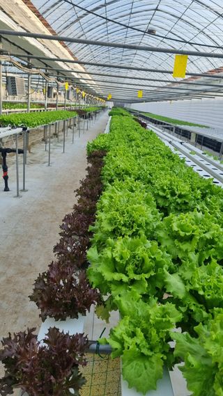 채영숙 님의 작성글 사진