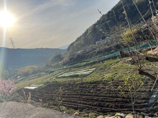 도곡님의 자유주제 · 자유게시판 작성글 사진