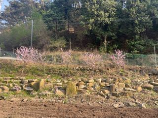 도곡님의 자유주제 · 자유게시판 작성글 사진