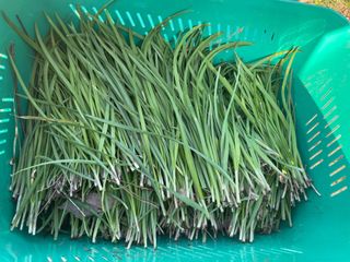 도곡님의 자유주제 · 자유게시판 작성글 사진