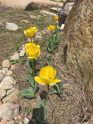 도곡님의 자유주제 · 자유게시판 작성글 사진