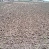 팜모닝 기타작물·영농일지 게시글 이미지