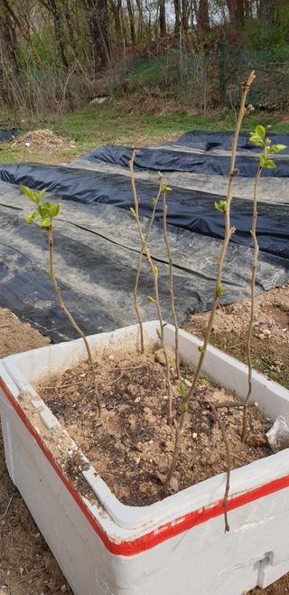 박선화님의 자유주제 · 자유게시판 작성글 사진