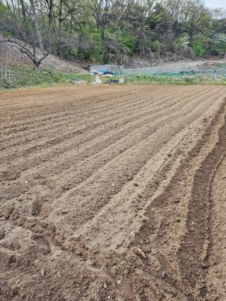 최경림님의 고추 · 영농일지 작성글 사진