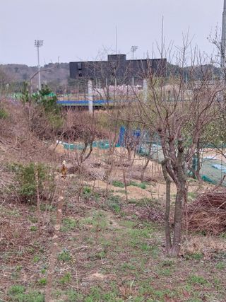 해안로님의 자유주제 · 자유게시판 작성글 사진