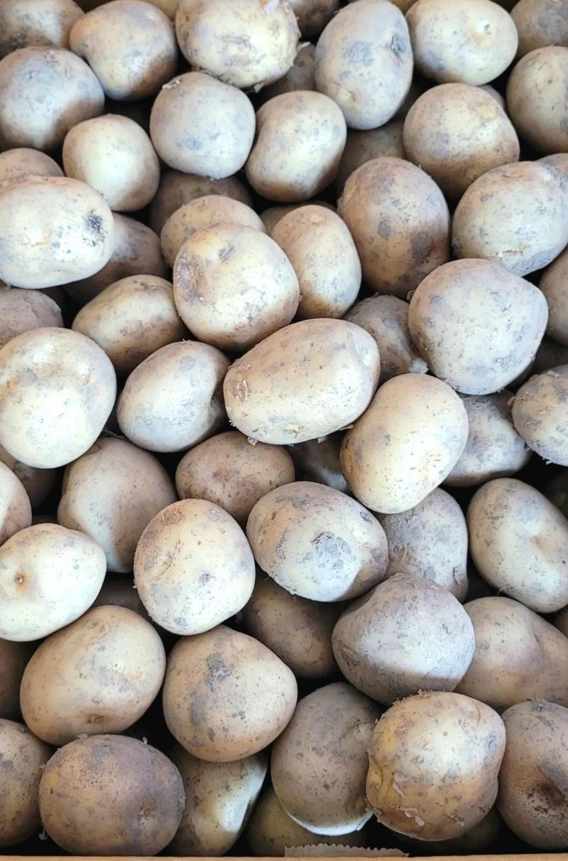 사랑꽃농장님의 장터 판매 상품 [ 햇 감자 혼합(홍감자+수미) 5kg] 첨부 사진