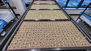 윤대권님의 상추 · 영농일지 작성글 사진