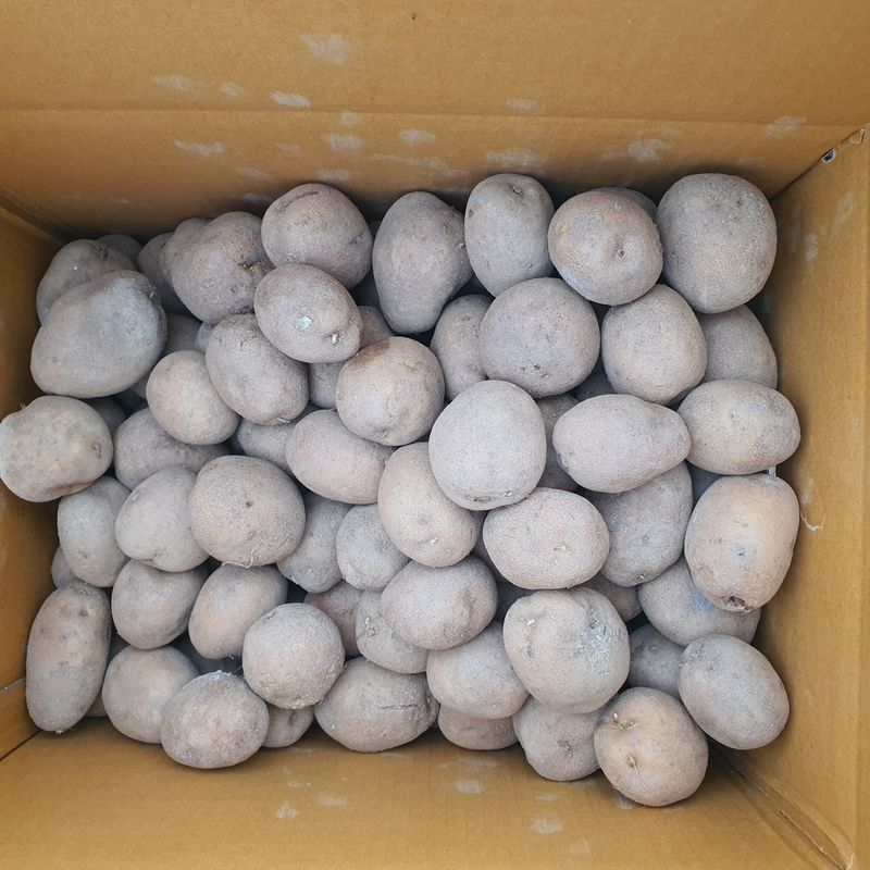 장터 상품 [감자20kg] 썸네일