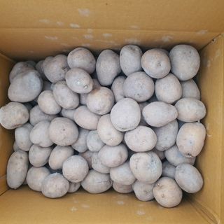 하율아빠 님의 작성글 사진