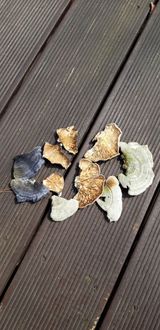 팜모닝 자유주제·건의해요 게시글 이미지