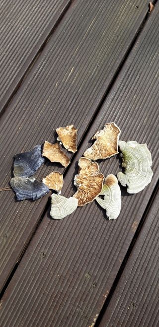 이진국님의 자유주제 · 건의해요 작성글 사진