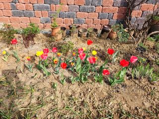 권지연.옥천.님의 자유주제 · 자유게시판 작성글 사진