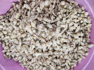 약초를사랑한짱아줌마님의 작성글 사진