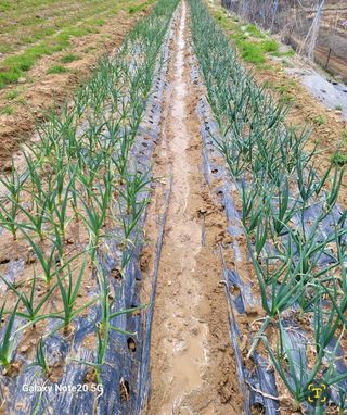 꿈꾸는 삶~님의 자유주제 · 자유게시판 작성글 사진