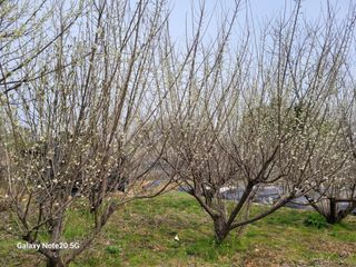 꿈꾸는 삶~님의 자유주제 · 자유게시판 작성글 사진