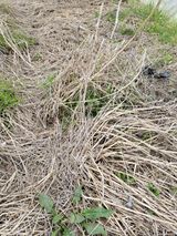 팜모닝 자유주제·자유게시판 게시글 이미지