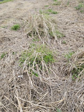 작은언니님의 자유주제 · 자유게시판 작성글 사진