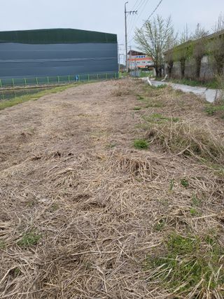 작은언니님의 자유주제 · 자유게시판 작성글 사진