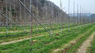 사과20730님의 자유주제 · 사진전 작성글 사진