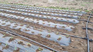 사과20730님의 자유주제 · 사진전 작성글 사진