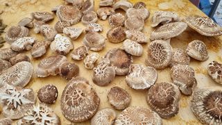 사과20730님의 자유주제 · 사진전 작성글 사진