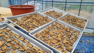 사과20730님의 자유주제 · 사진전 작성글 사진