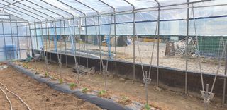 밤가시 여주농장님의 자유주제 · 자유게시판 작성글 사진