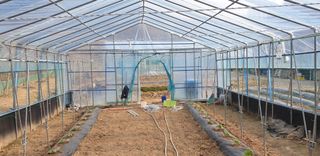 밤가시 여주농장님의 자유주제 · 자유게시판 작성글 사진