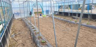 밤가시 여주농장님의 자유주제 · 자유게시판 작성글 사진