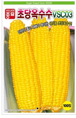 이상율님의 옥수수 · 병해충상담 작성글 사진